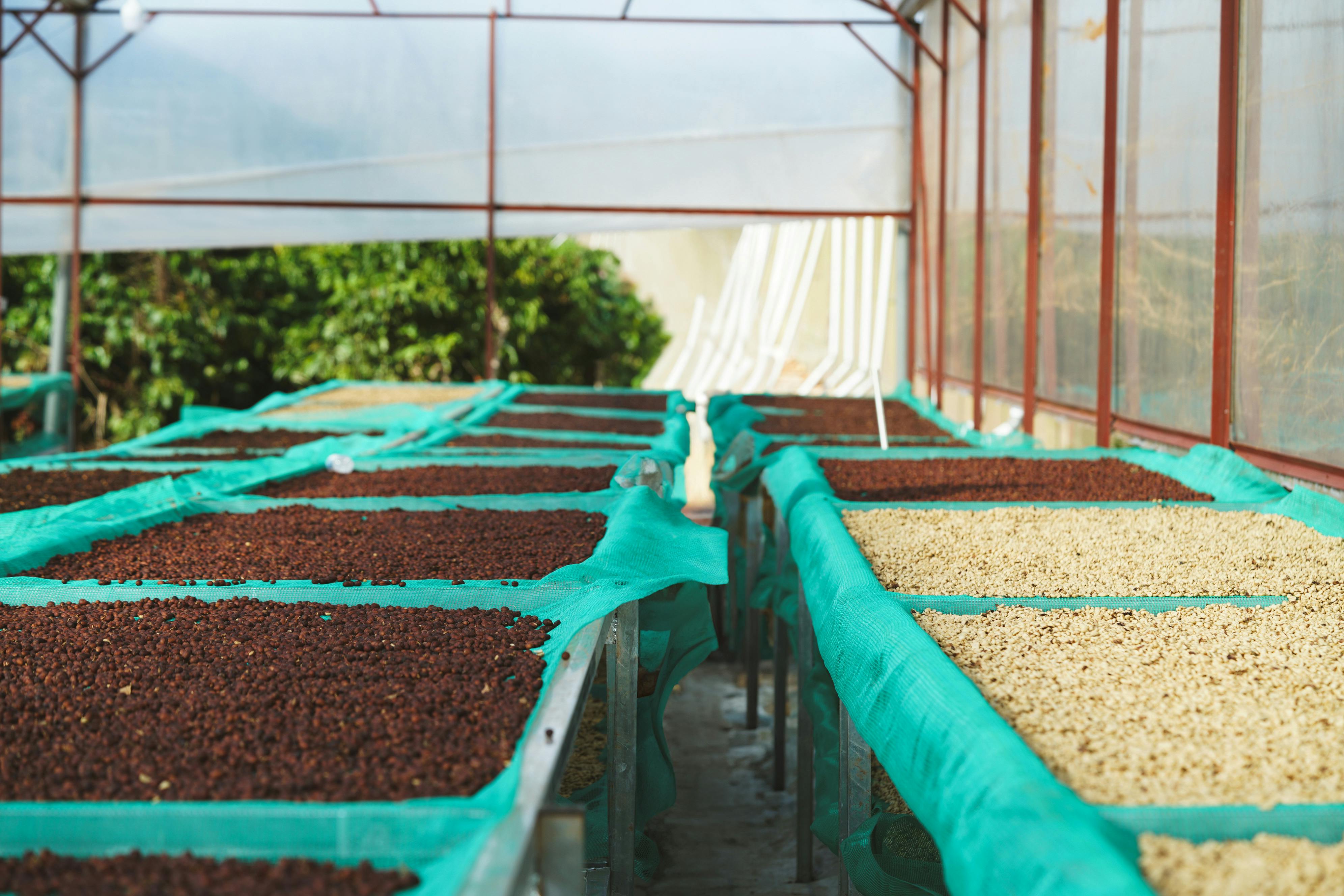 Feria de muestras con productores locales
